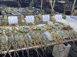 ナイトマーケット