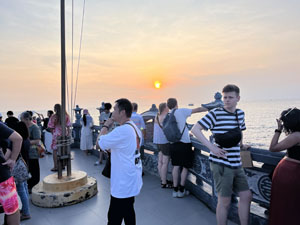 �f�B���K�E���@