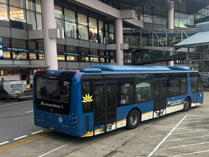 �C�m�C�o���ۋ�`