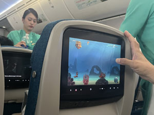 �{�[�C���O787�^�@