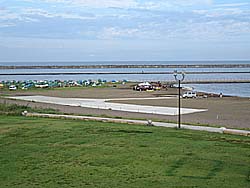 �������ꂽ���l�E�i���H