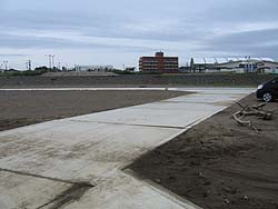 �������ꂽ���l�E�i���H