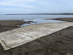 �������ꂽ���l�E�i���H