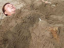 �����C�H�H