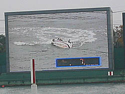 �T�C�������炤��������