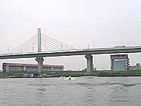 ����̐���