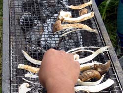 �}�c�^�P�I�I