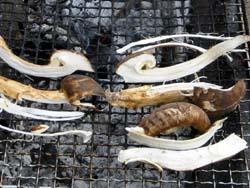 �}�c�^�P�I�I