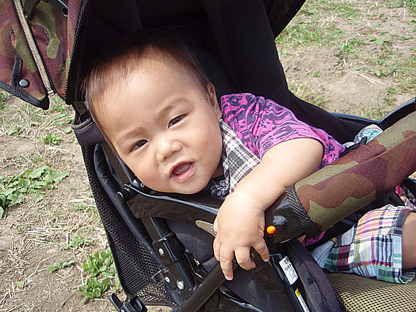 �p�p�̎ʐ^�����������c