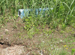 12'�����剁���| Part2