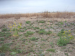 09'�����剁���| Part1