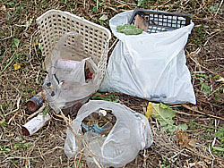 09'�����剁���| Part1