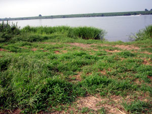 10'�����剁���| Part5