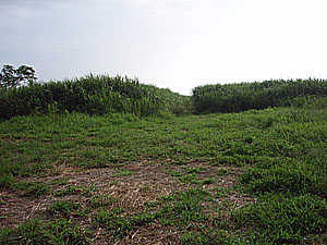 10'�����剁���| Part5