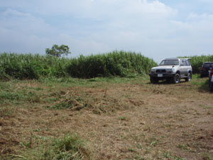 10'利根大堰清掃 Part5