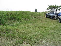 �����剁���|