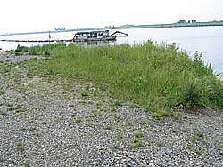 �����剁���|