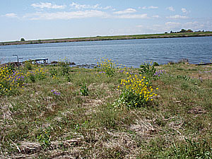 11'�����剁���| Part1