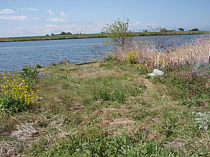 11'�����剁���| Part1