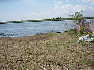 11'利根大堰清掃 Part1