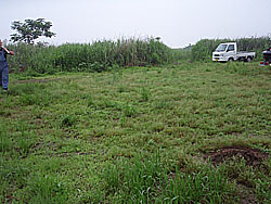 11'�����剁���| Part2