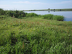 11'�����剁���| Part3