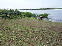 11'�����剁���| Part3