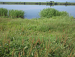 11'�����剁���| Part3