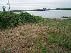 11'�����剁���| Part5