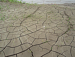 11'�����剁���| Part5