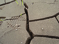 11'利根大堰清掃 Part5