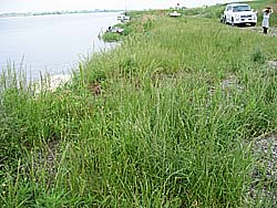 �����剁���|