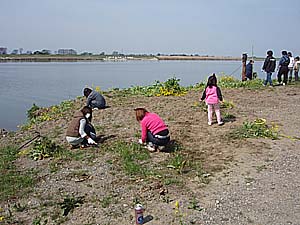 �G���̊����蕗�i1