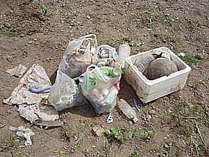 ���\�ȗʂ̃S�~1