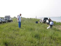 �����剁���|13