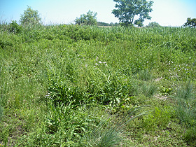 14'�����剁���| Part2