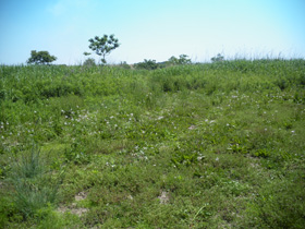 14'�����剁���| Part2