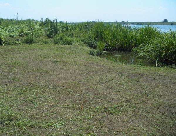 14'利根大堰清掃 Part3