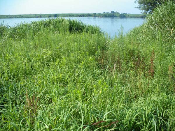 14'利根大堰清掃 Part3