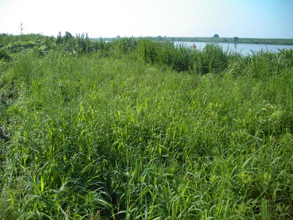 14'利根大堰清掃 Part3