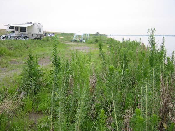 利根大堰清掃 Part2