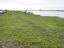 �����剁���|