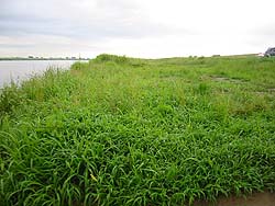 �����剁���|