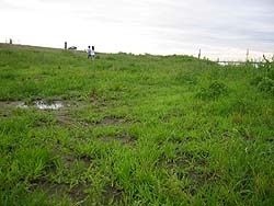 �����剁���|