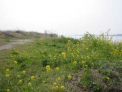 �����剁���|