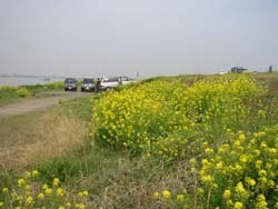 �����剁���|