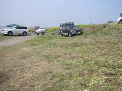 �����剁���|