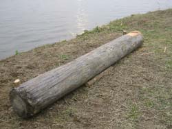 �����剁���|