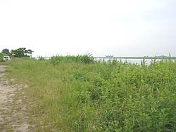 �����剁���|