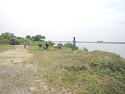 �����剁���|